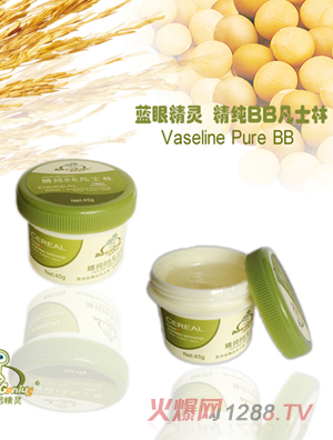 藍(lán)眼精靈精純BB凡士林