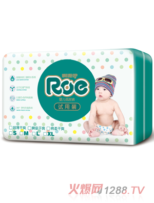ROE������ˬ����ѝ�w��b