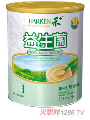 禾+益生菌黑米紅棗營養(yǎng)米粉