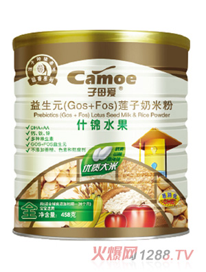 ��ĸ�ۋ�������Ԫɏ�����׷�ʲ�\ˮ��