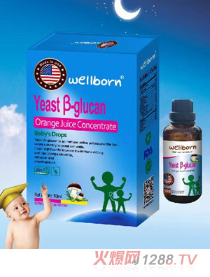 wellborn��ĸ��-�Ͼ���