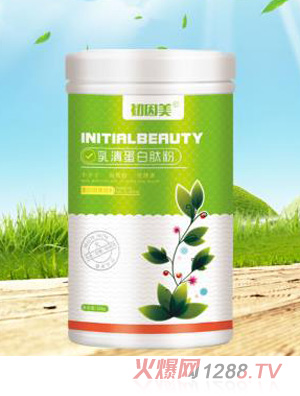 ���������嵰���ķ�