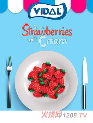 ������VIDALܛ��