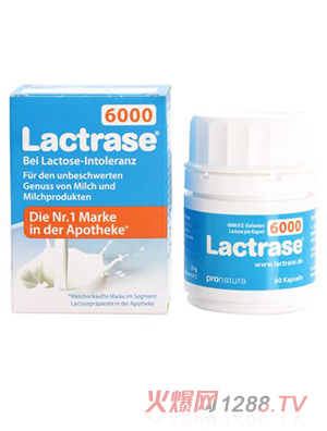 樂(lè)迪士酸性乳糖酶